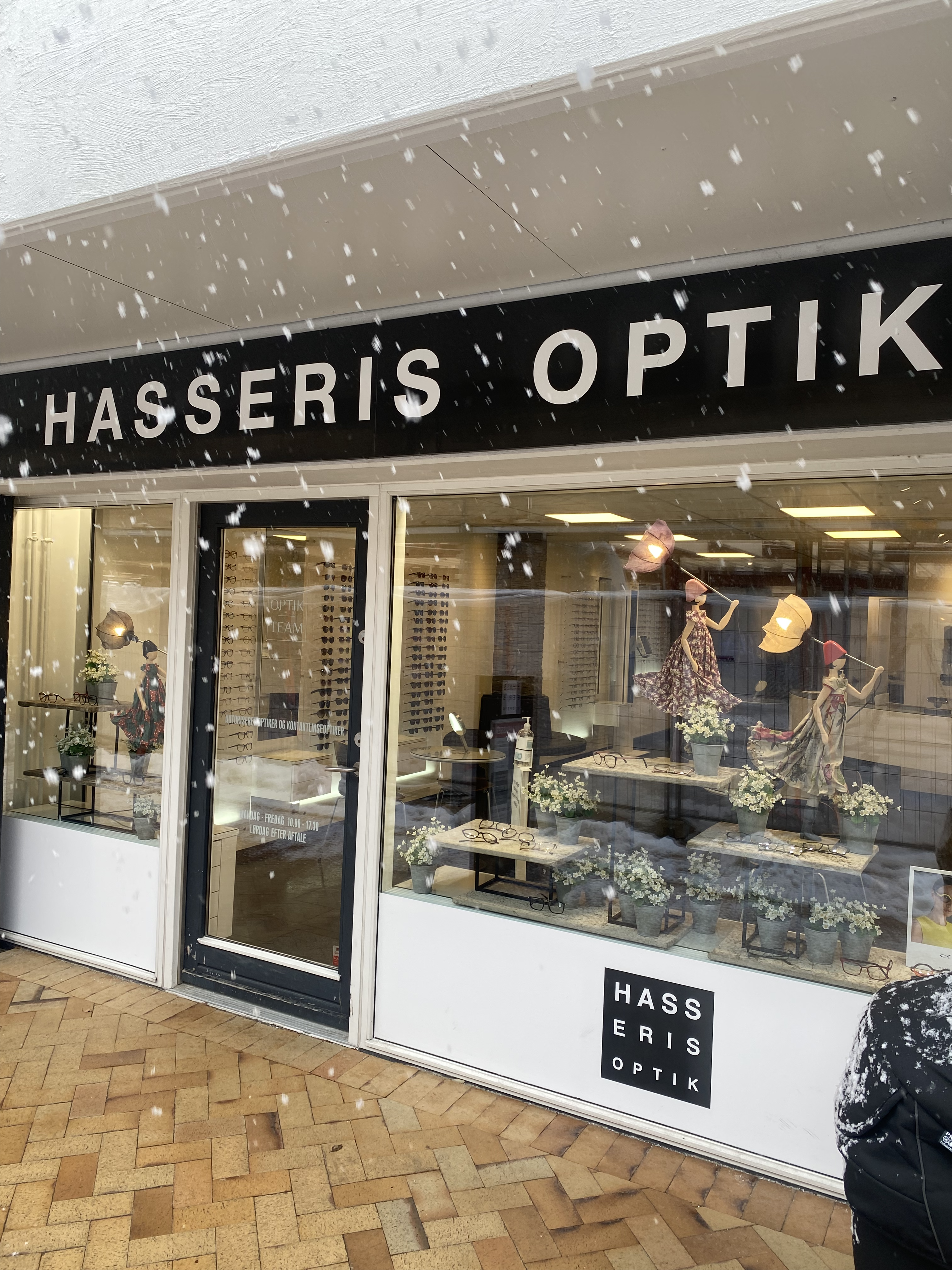 Hasseris Optik