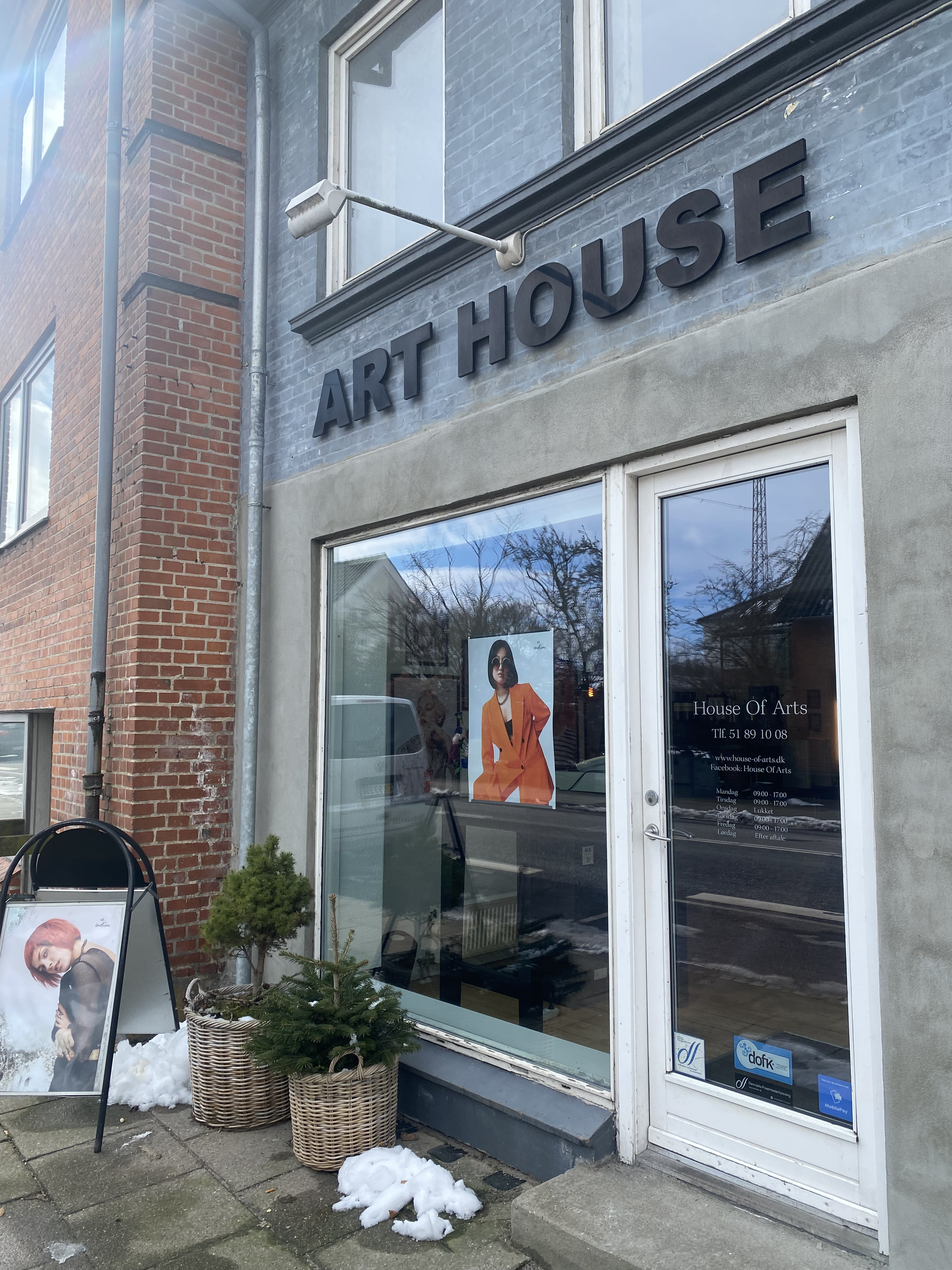 Salon Art House